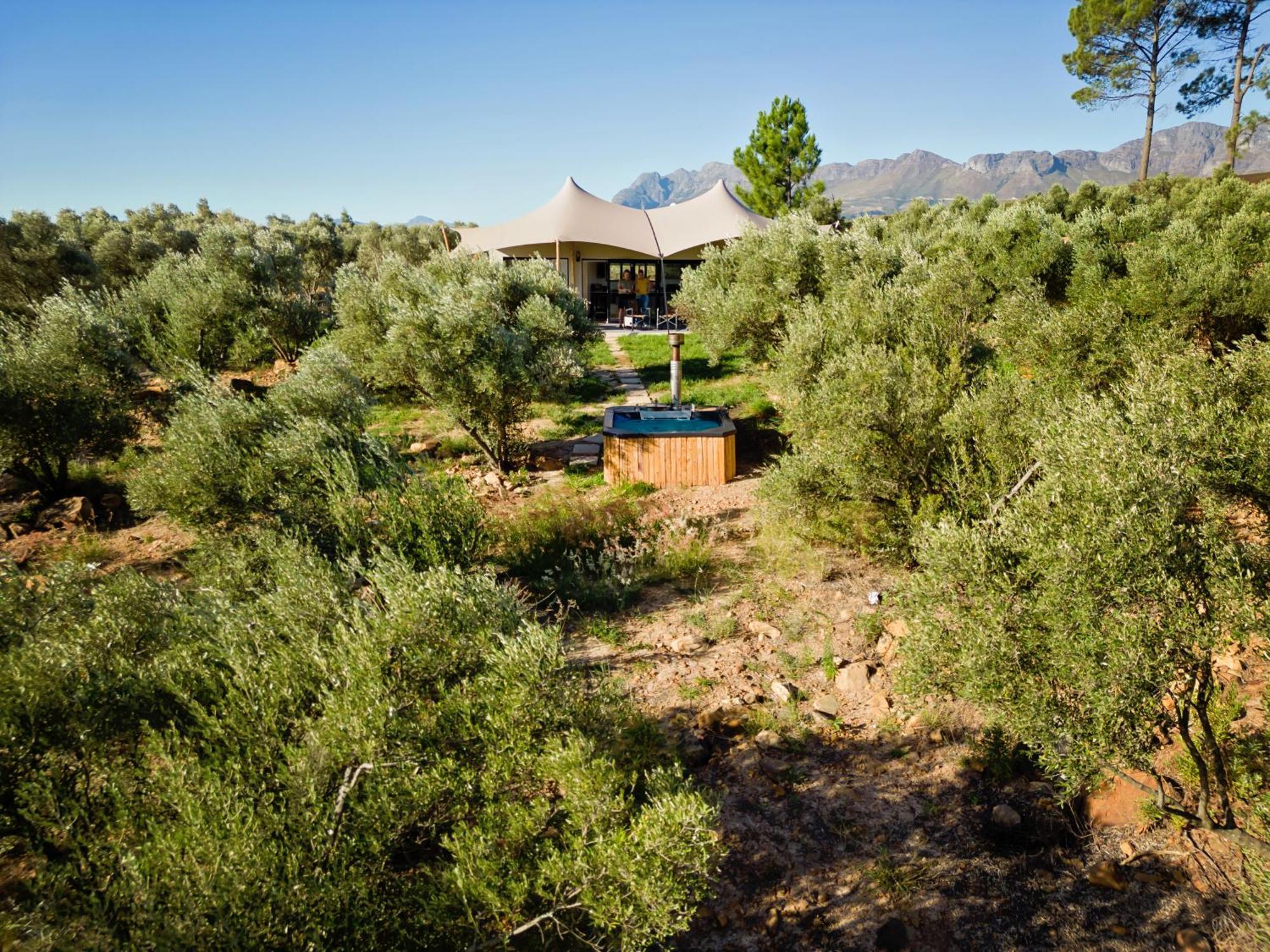 Wagyu Mountain Lodge Paarl Exterior foto